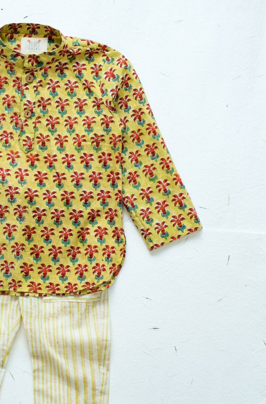 Garden Buti Kurta Set