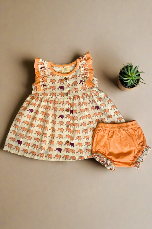 Elephant Baby Dress Set