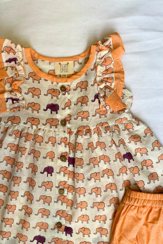 Elephant Baby Dress Set