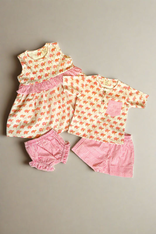 Turtle Dress Set