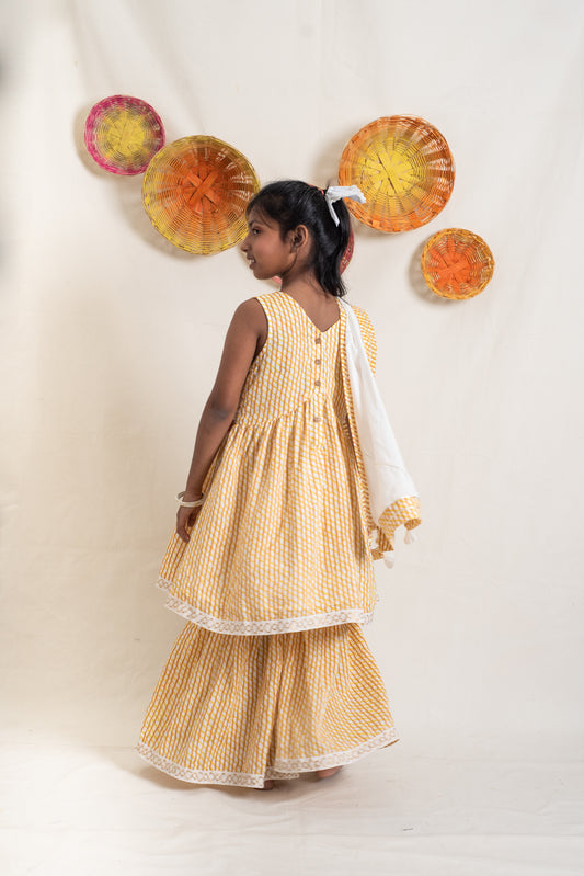Utsav Sharara Set
