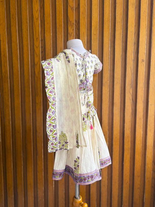Kids jamuni saree outfit